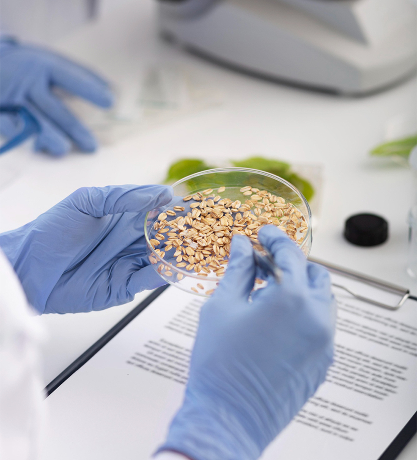 Food Safety Consultancy | ISO, FSSAI & GMP Experts